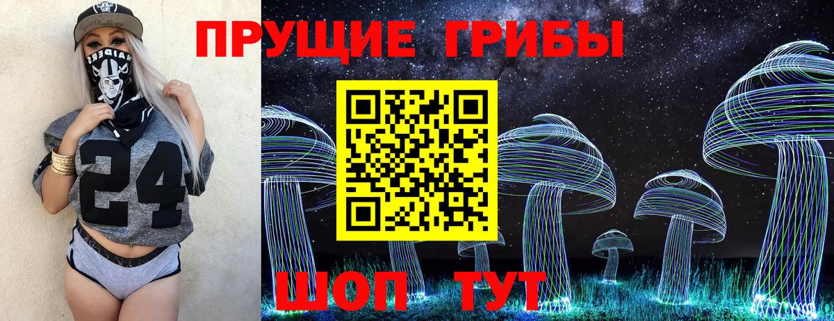 Галлюциногенные грибы Psilocybe Миллерово