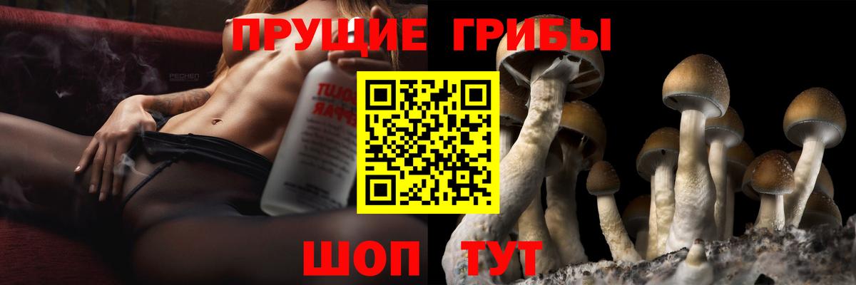 Псилоцибиновые грибы ЛСД  цена наркотик  Миллерово  Вход с VPN 