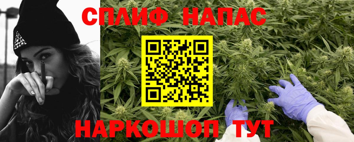 Бошки марихуана SATIVA & INDICA  Марихуана сатива  Вход с VPN  Бошки марихуана конопля  Миллерово 